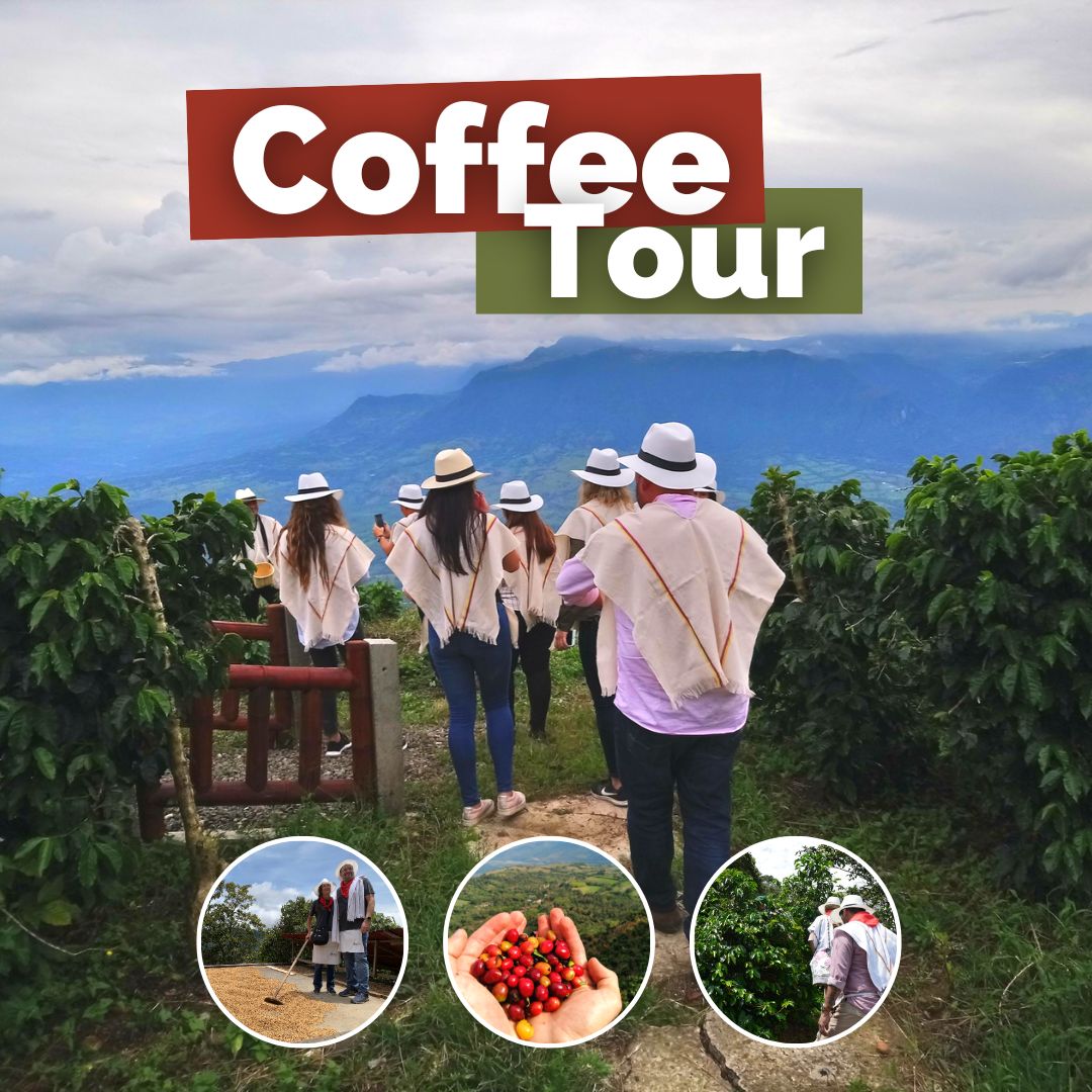 Coffee Tour